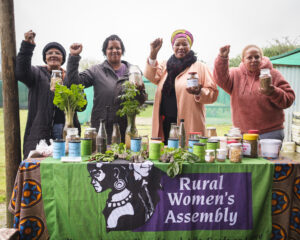 Read more about the article RWA IDPS 2026 Statement: Our Land, Our Seeds, Our Resistance