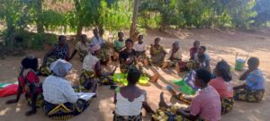 Read more about the article RWA Malawi: Women Rising Through the Storm: Building Climate Resilience in Ntchisi 