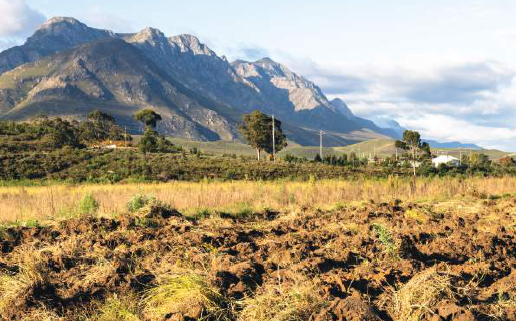 Read more about the article The Status of Land Policies in Southern Africa