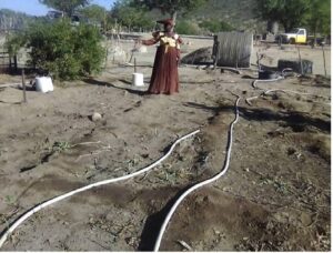 Read more about the article RWA Namibia: From Despair To Hope: The Resilience Of A Rural Woman Farmer