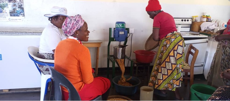 Read more about the article RWA Zimbabwe: From Harvest Losses to Resilience: How a Rural Woman Farmer Is Building Climate Resilience Through climate smart solar drying