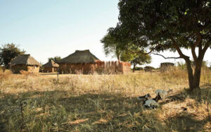 Read more about the article RWA Zambia: Land Grabbing and Displacement a Major Issue at Hand
